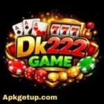 DK222 Game